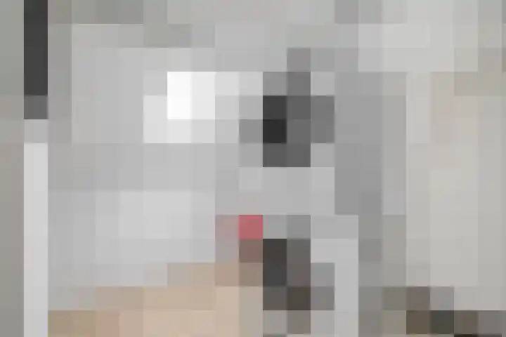 Archimedesstraat 31 Schoonhoven thumbnail 34