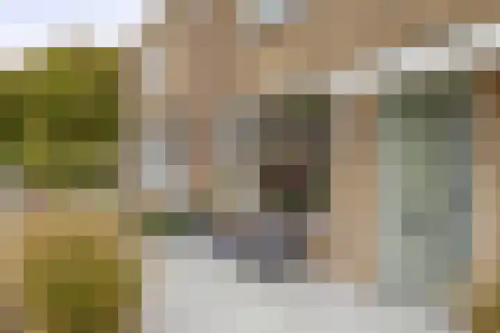 Archimedesstraat 31 Schoonhoven thumbnail 6