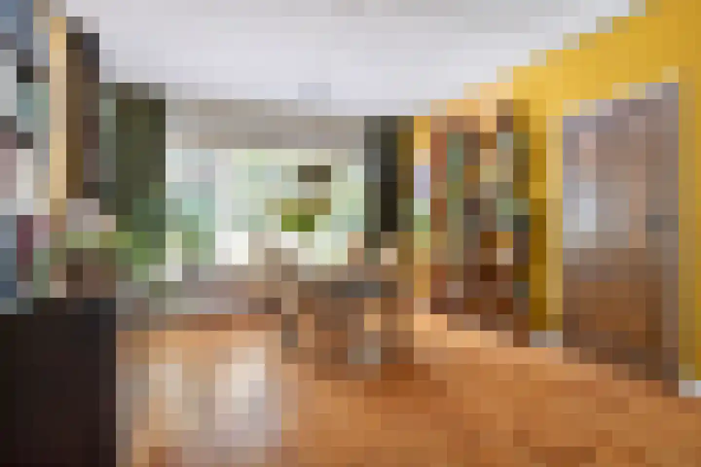 Archimedesstraat 32 Terneuzen thumbnail 16