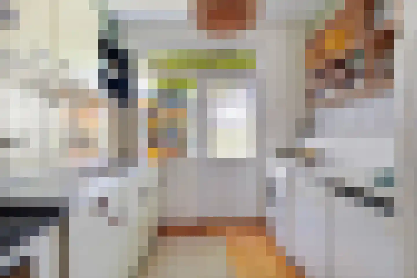 Archimedesstraat 32 Terneuzen thumbnail 20