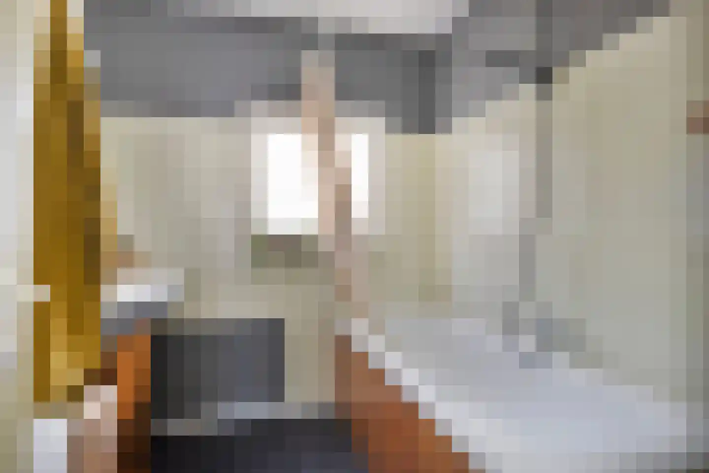 Archimedesstraat 32 Terneuzen thumbnail 25