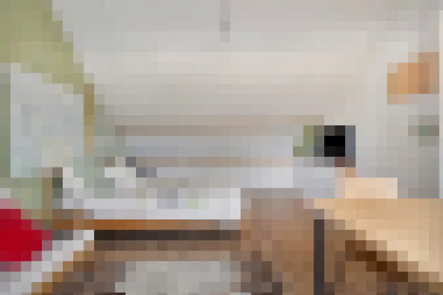 Archimedesstraat 32 Terneuzen thumbnail 32