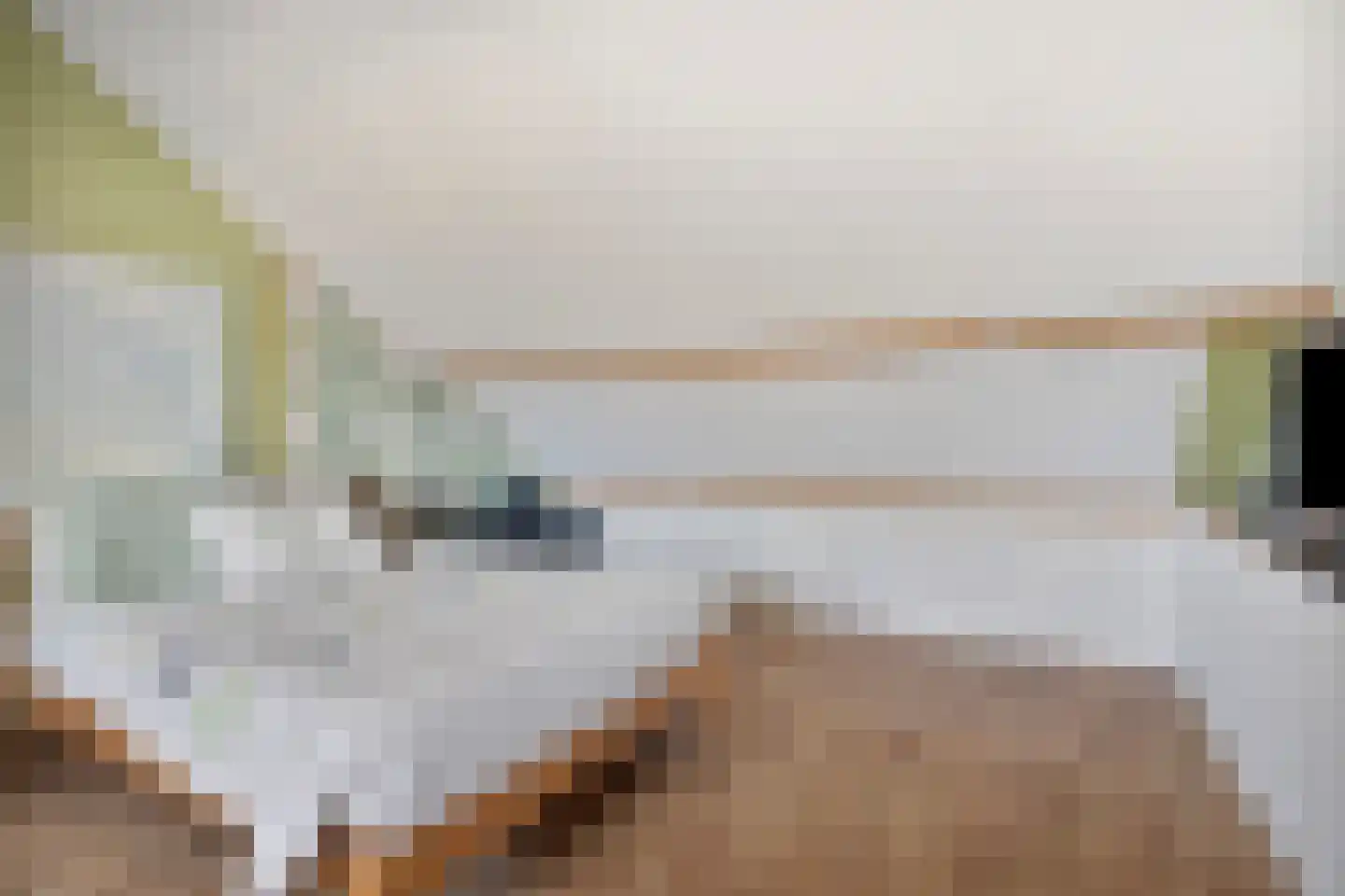 Archimedesstraat 32 Terneuzen thumbnail 33