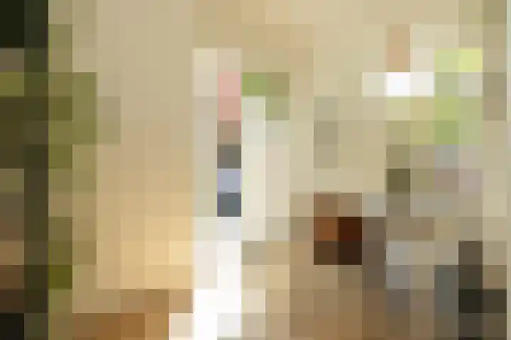 Archimedesstraat 34 Den Haag thumbnail 31