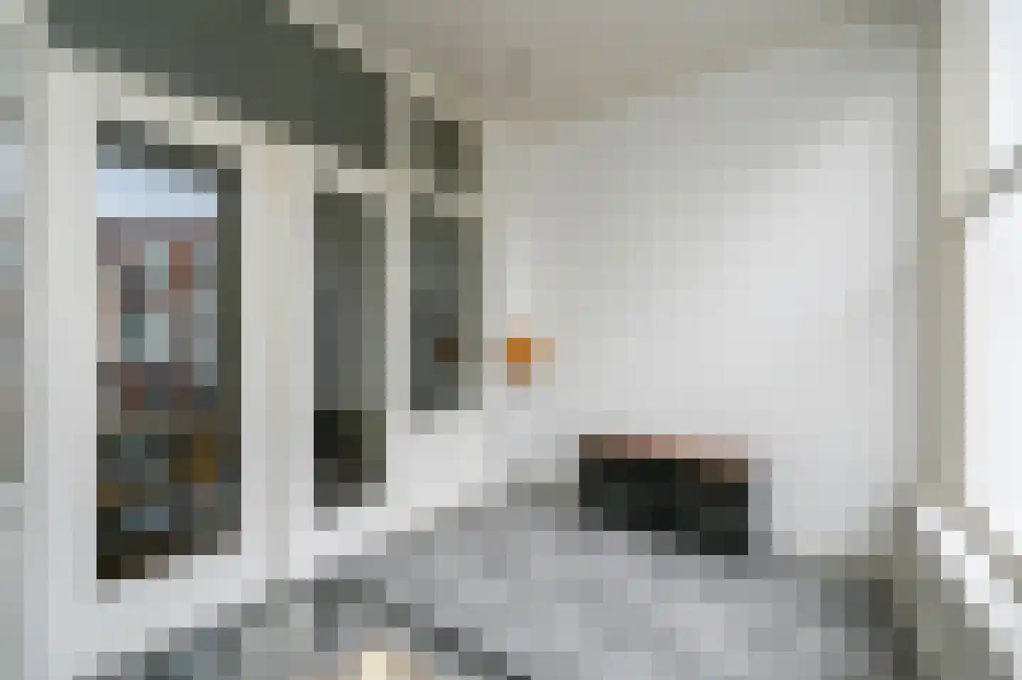 Archimedesstraat 38 Den Haag thumbnail 17