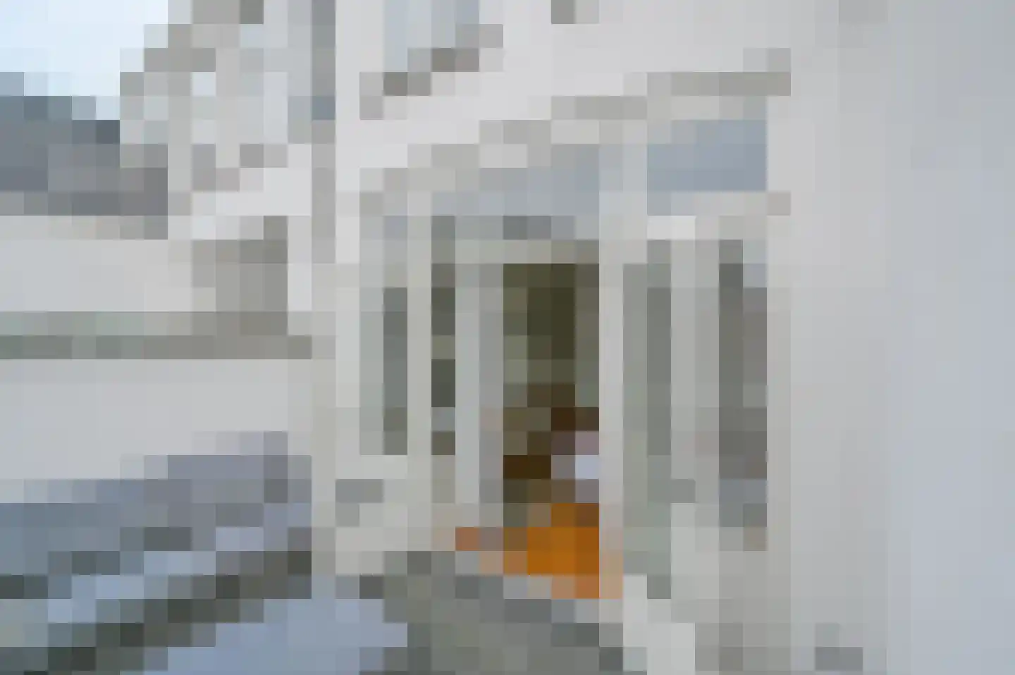 Archimedesstraat 38 Den Haag thumbnail 40