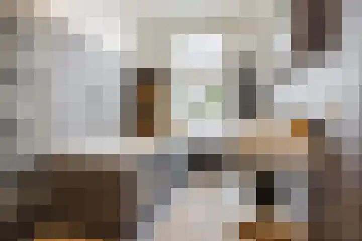 Archimedesstraat 46 Den Haag thumbnail 33