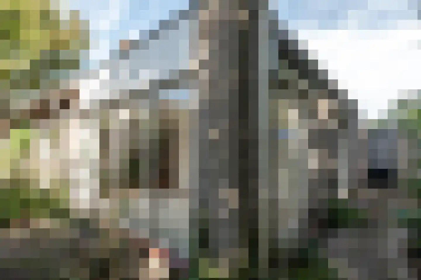 Archimedesstraat 56 Apeldoorn thumbnail 13