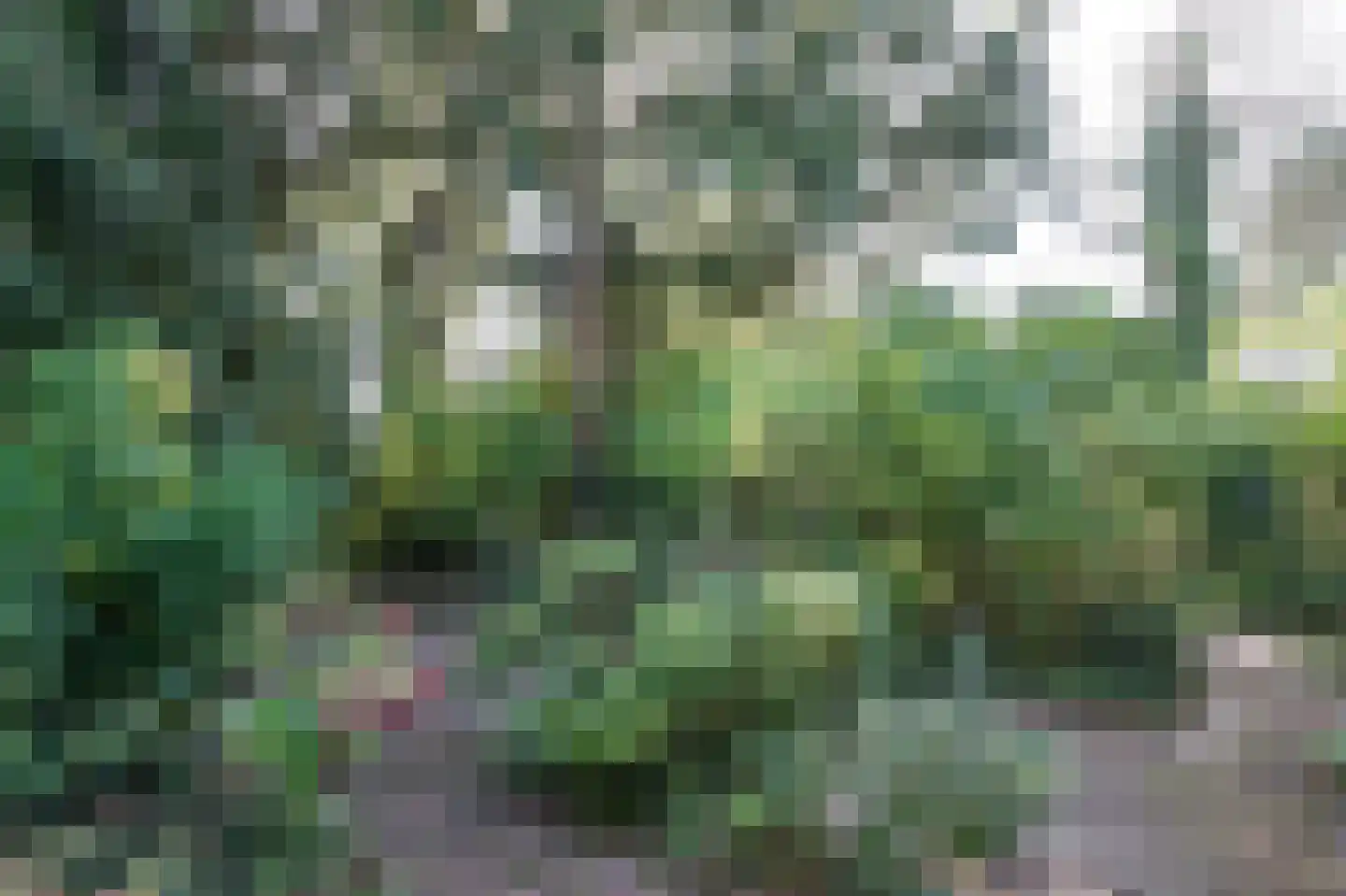 Archimedesstraat 56 Apeldoorn thumbnail 16