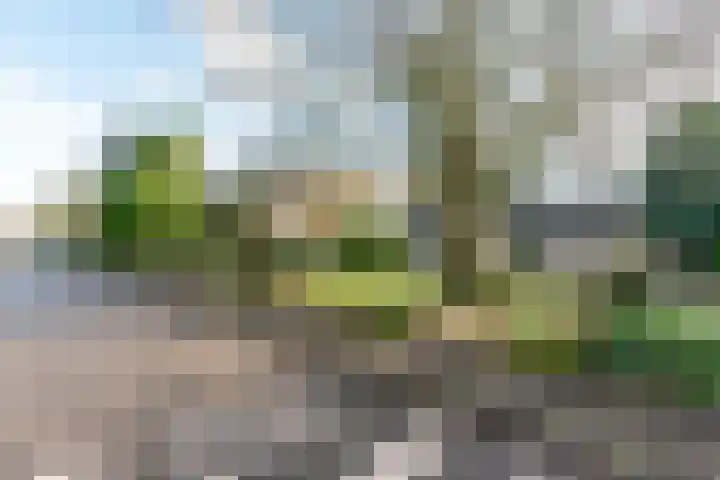 Archimedesstraat 58 Apeldoorn thumbnail 7