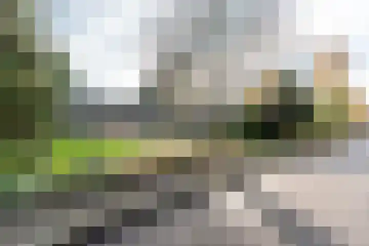 Archimedesstraat 58 Apeldoorn thumbnail 8