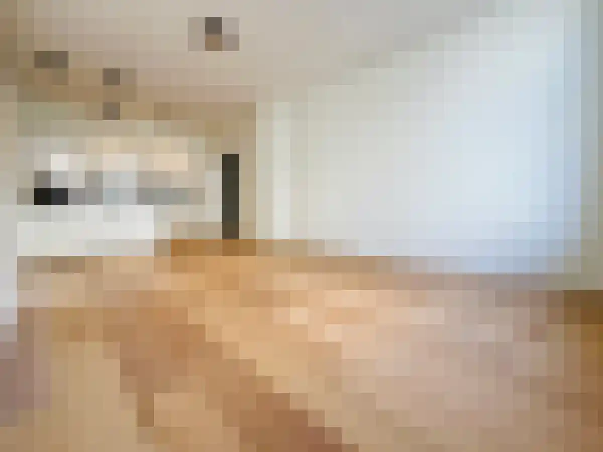Archimedesstraat 62 Den Haag thumbnail 4