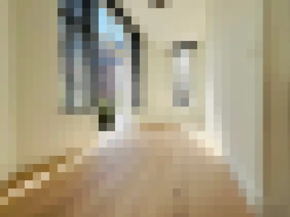 Archimedesstraat 62 Den Haag thumbnail 6