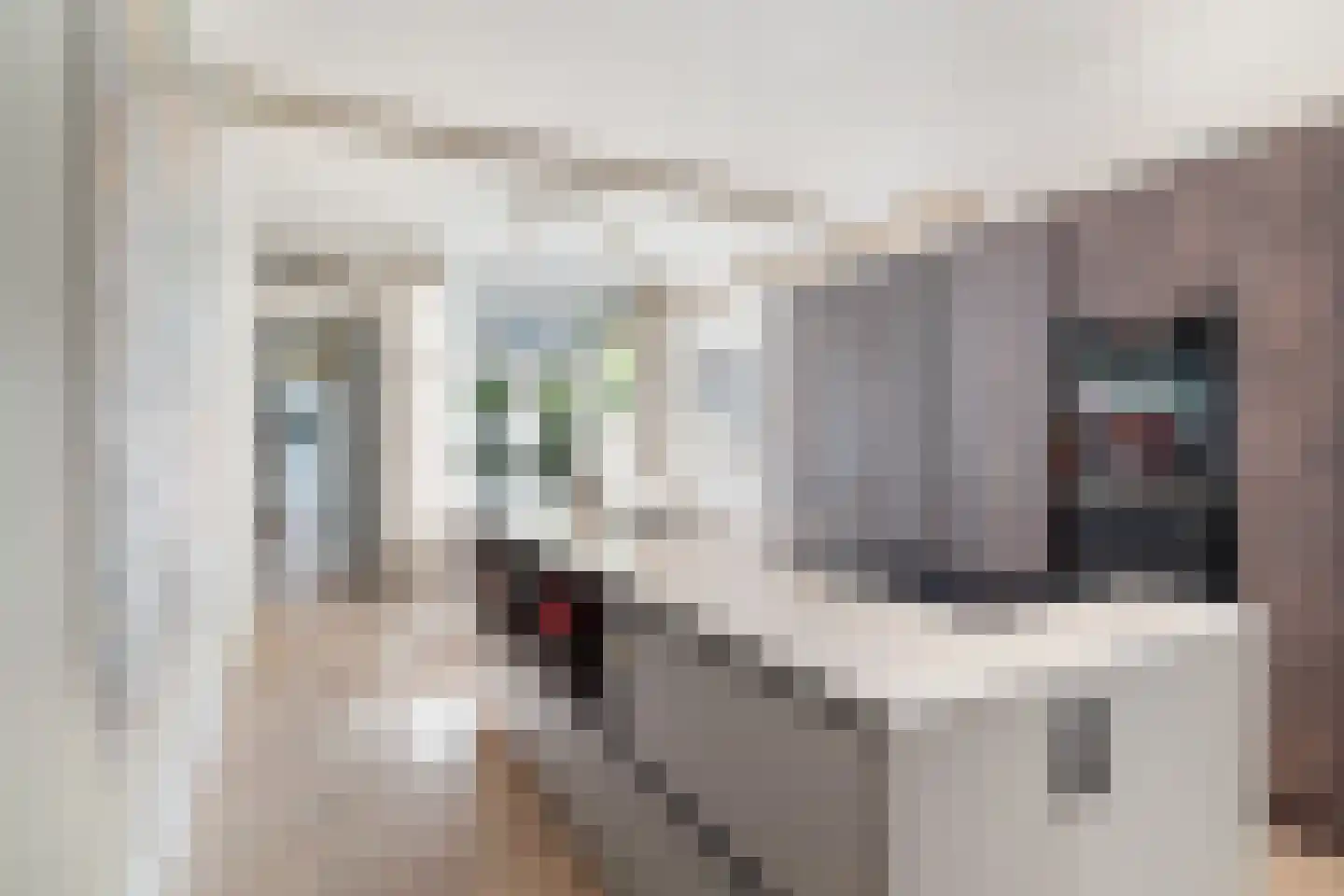 Archimedesstraat 72 Den Haag thumbnail 20