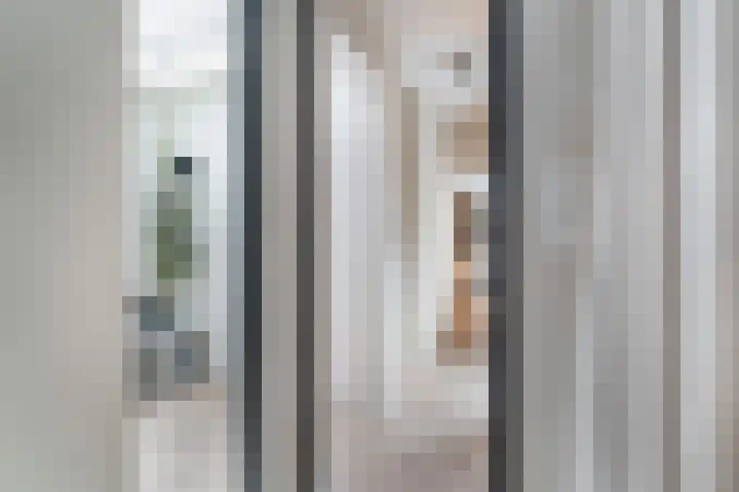 Archimedesstraat 72 Den Haag thumbnail 32