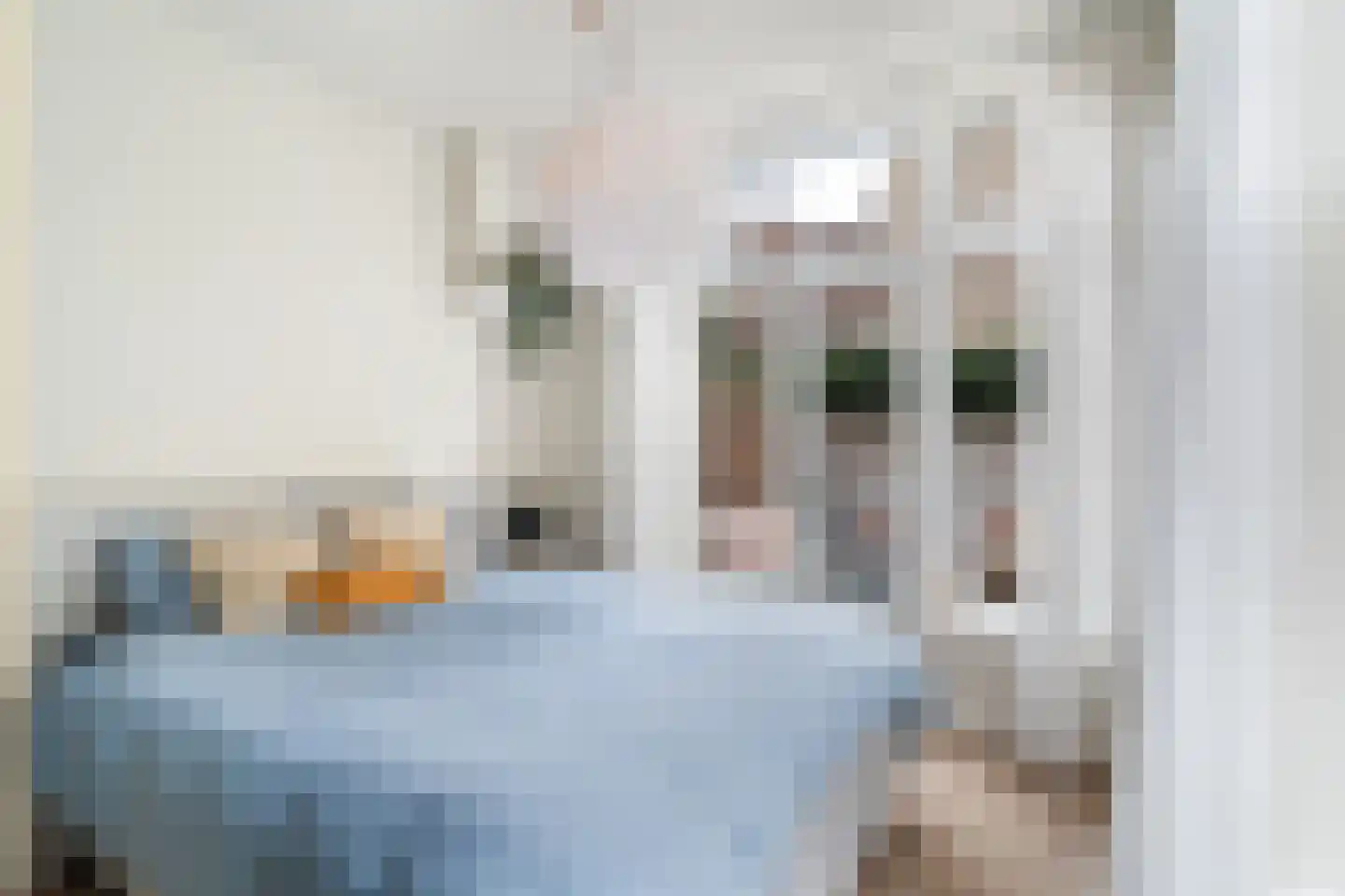 Archimedesstraat 72 Den Haag thumbnail 36