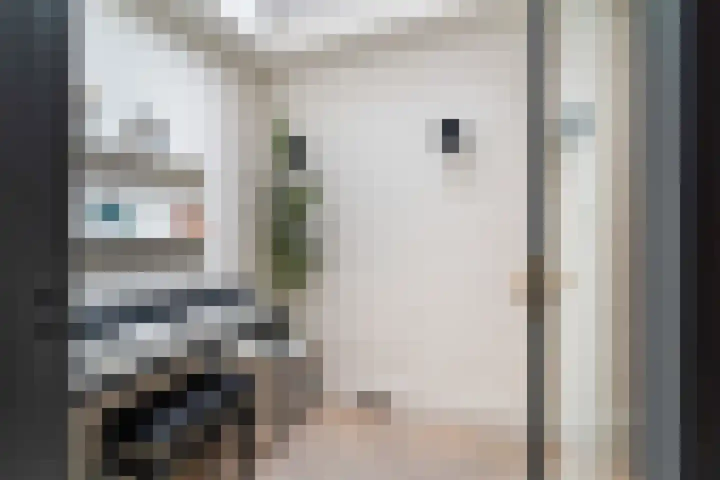 Archimedesstraat 72 Den Haag thumbnail 45