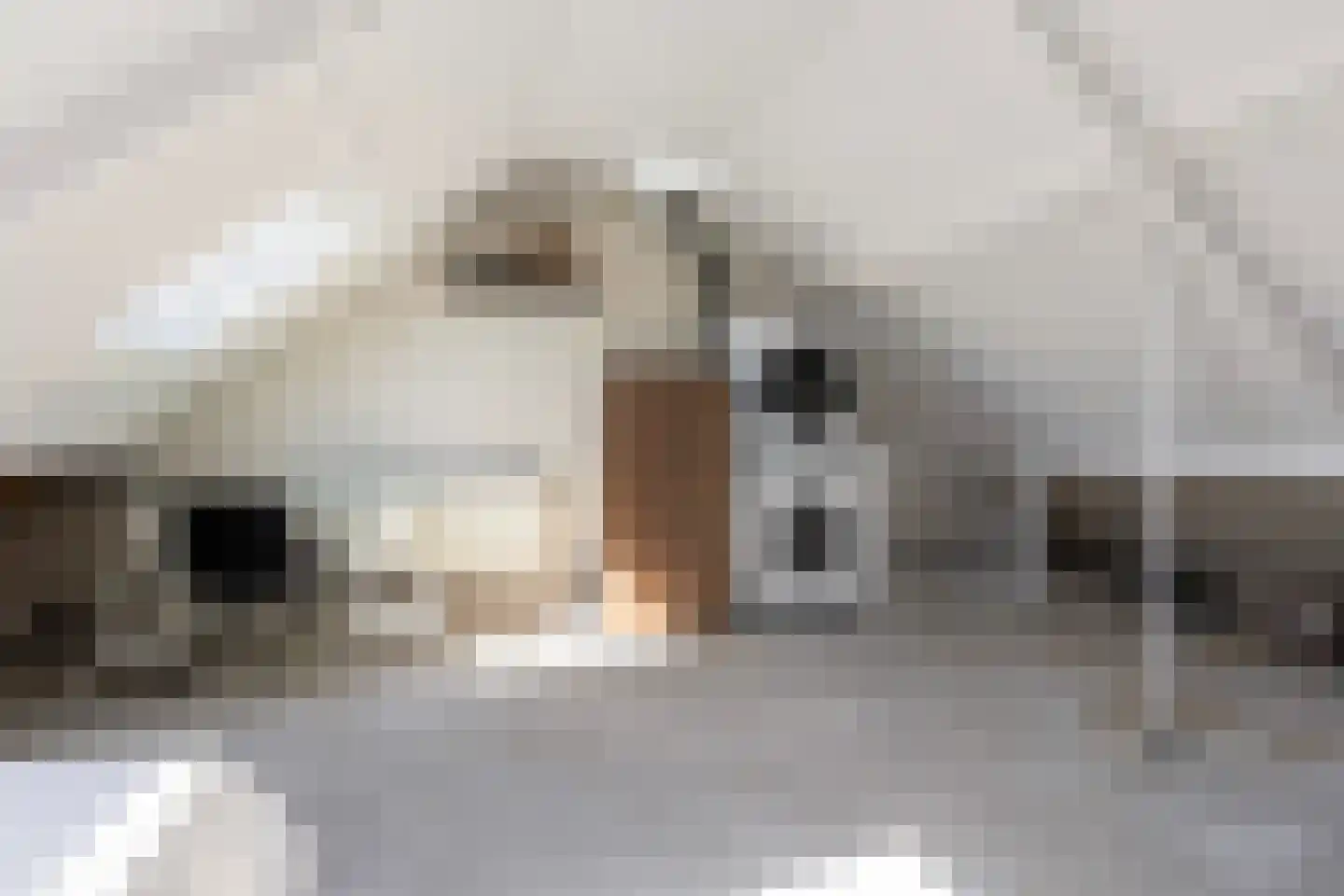 Archimedesstraat 86 Barneveld thumbnail 34