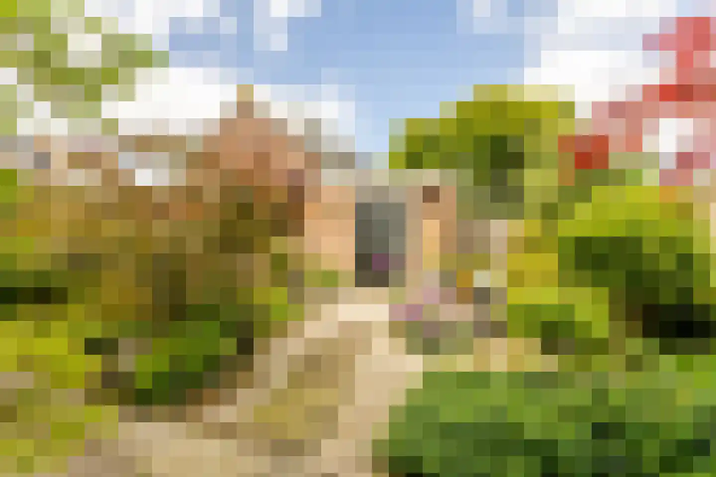 Archimedesstraat 9 Schoonhoven thumbnail 39