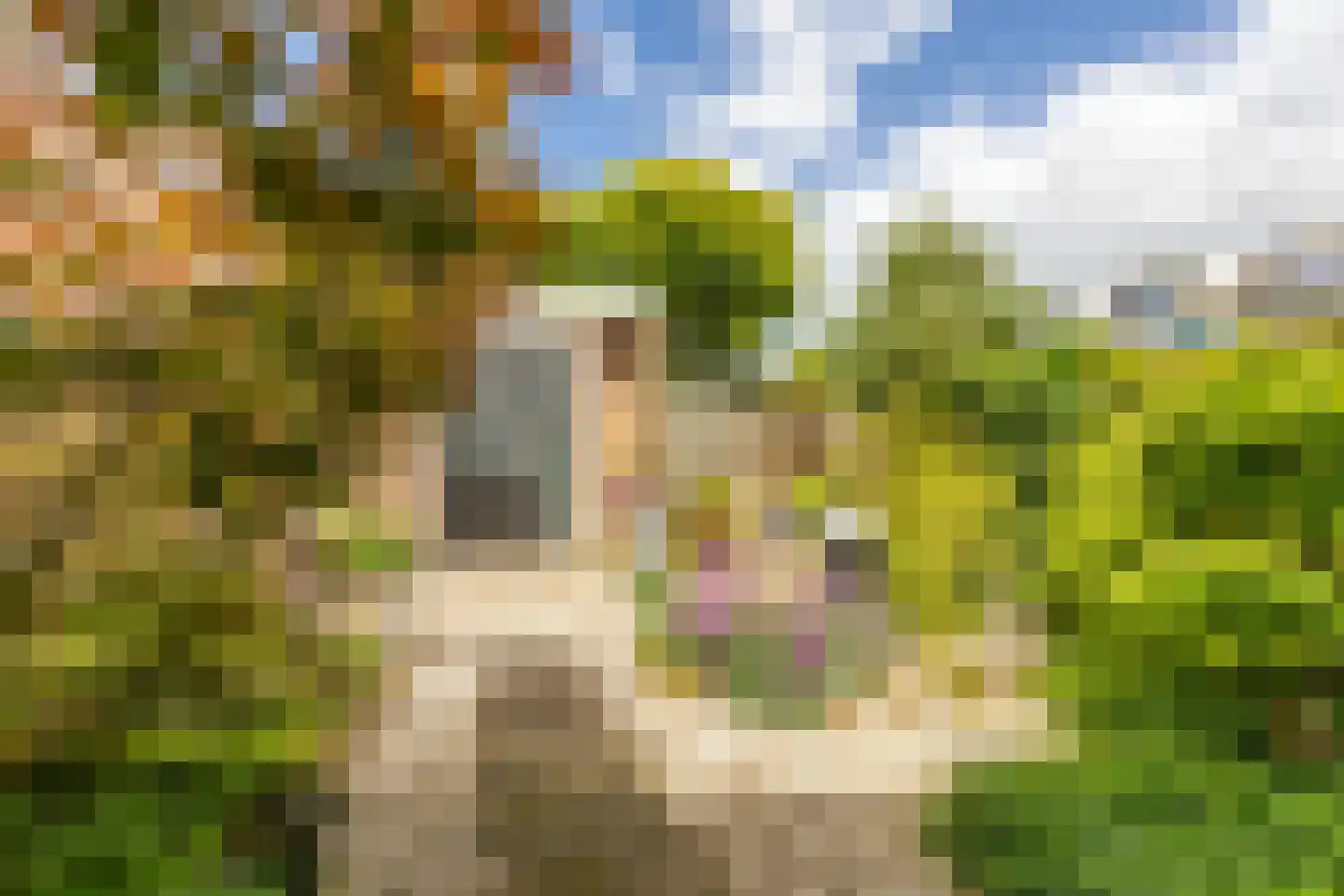 Archimedesstraat 9 Schoonhoven thumbnail 40