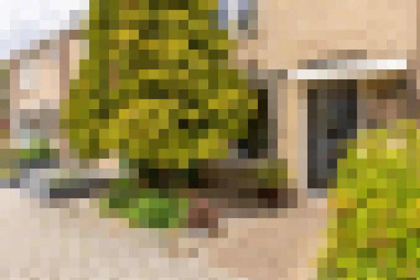 Archimedesstraat 9 Schoonhoven thumbnail 47