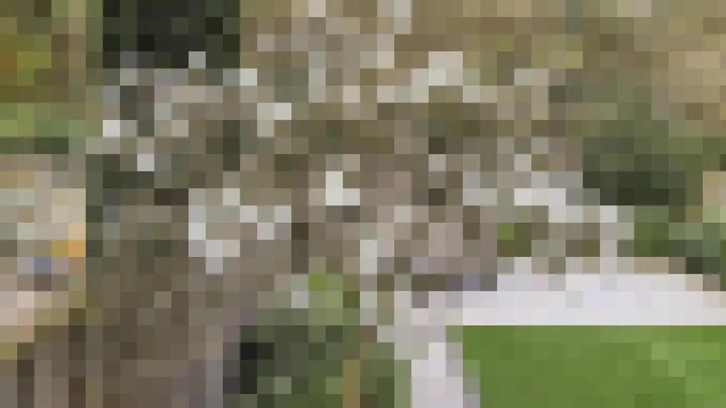 Archimedesweg 17 Amsterdam thumbnail 14