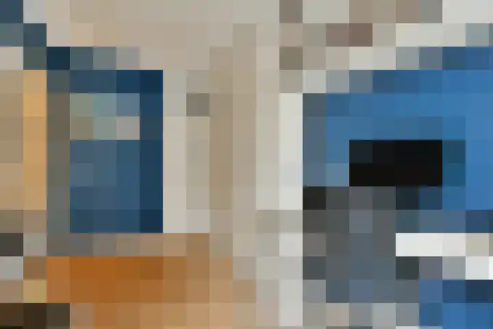 Archimedesweg 17 Amsterdam thumbnail 16