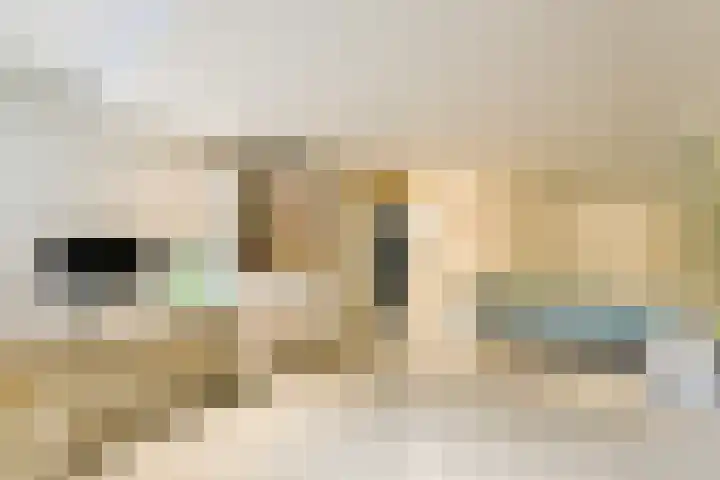 Archimedesweg 17 Amsterdam thumbnail 22