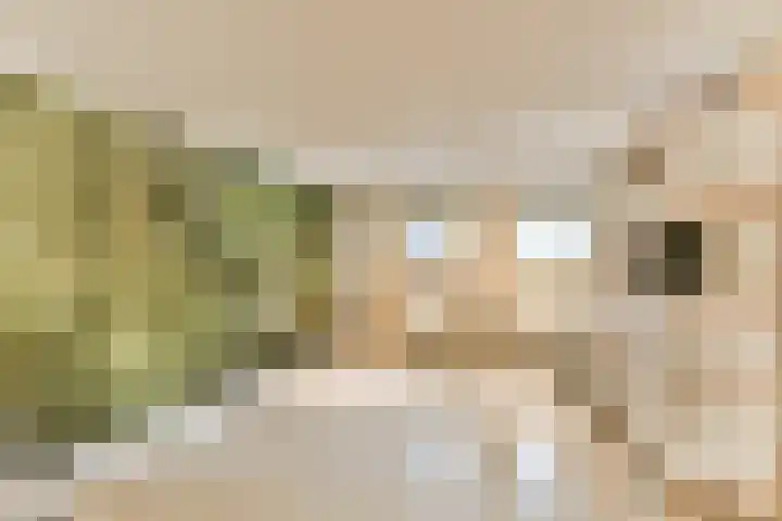 Archimedesweg 17 Amsterdam thumbnail 23