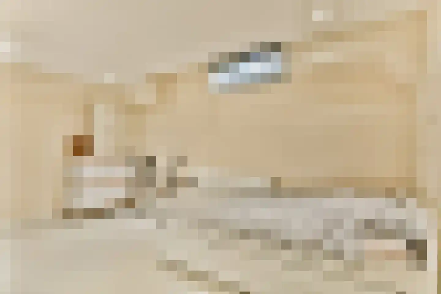 Archimedesweg 17 Amsterdam thumbnail 27