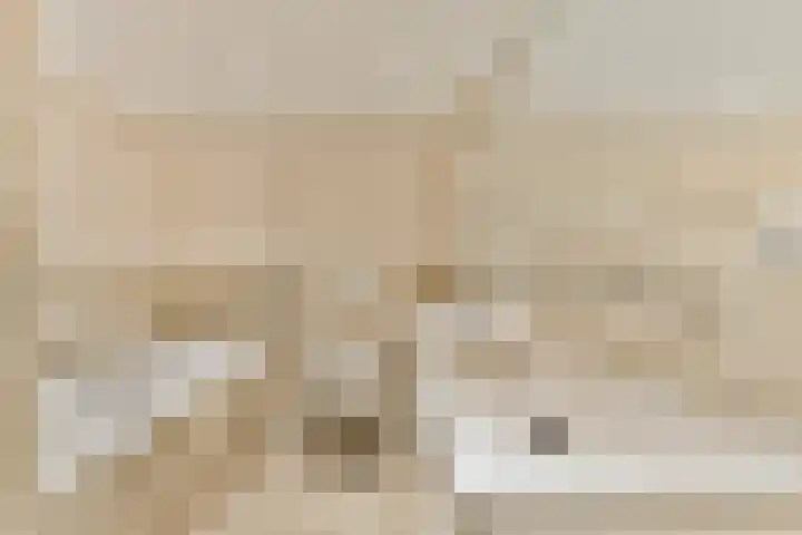 Archimedesweg 17 Amsterdam thumbnail 29
