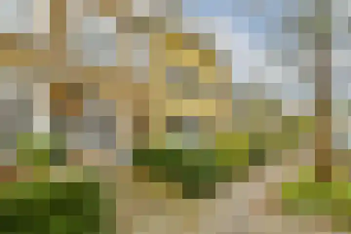 Archimedesweg 17 Amsterdam thumbnail 33