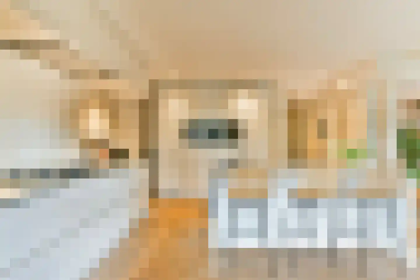 Archimedesweg 17 Amsterdam thumbnail 5