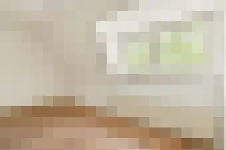 Archimedesweg 18 H Amsterdam thumbnail 13