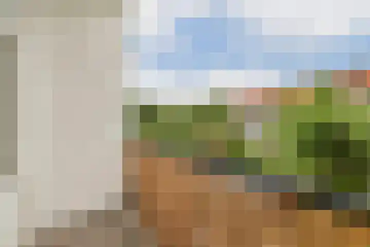 Archimedesweg 22 Amsterdam thumbnail 15