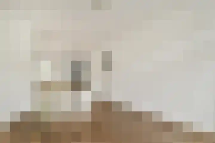Archimedesweg 22 Amsterdam thumbnail 4