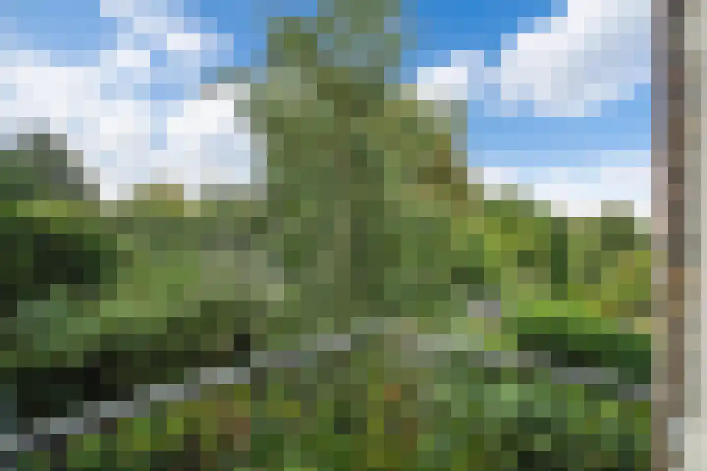 Archimedesweg 3 A Amsterdam thumbnail 15