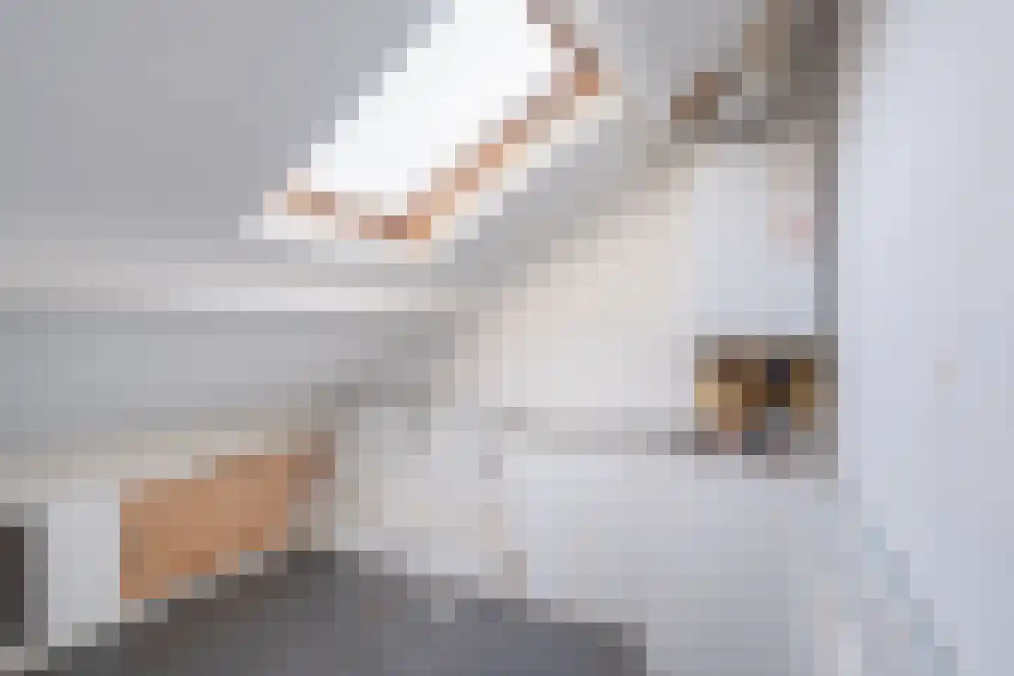 Archimedesweg 3 A Amsterdam thumbnail 25