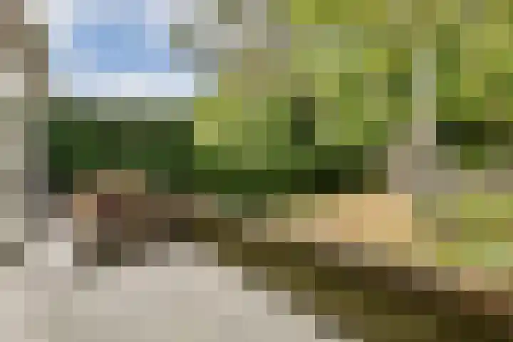 Archimedesweg 37 Amsterdam thumbnail 21