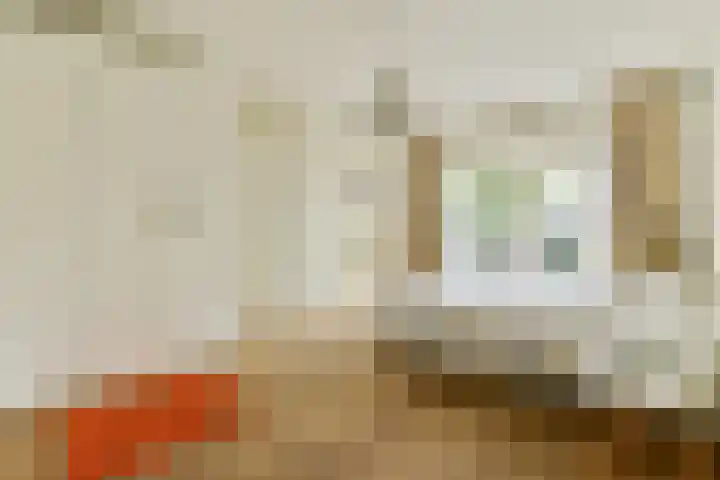 Archimedesweg 37 Amsterdam thumbnail 24