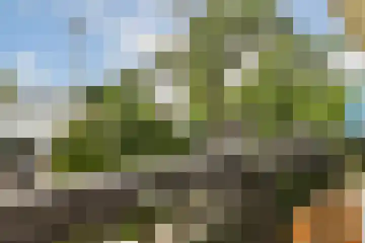 Archimedesweg 37 Amsterdam thumbnail 27