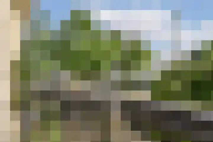 Archimedesweg 37 Amsterdam thumbnail 28