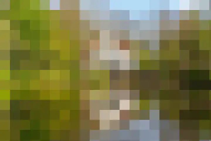 Archimedesweg 37 Amsterdam thumbnail 39