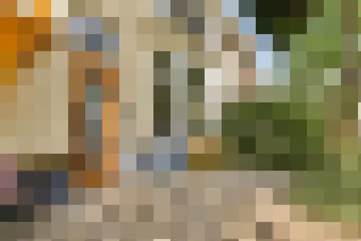 Archimedesweg 37 Amsterdam thumbnail 4