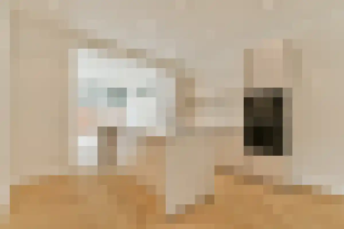 Archimedesweg 73 Amsterdam thumbnail 4