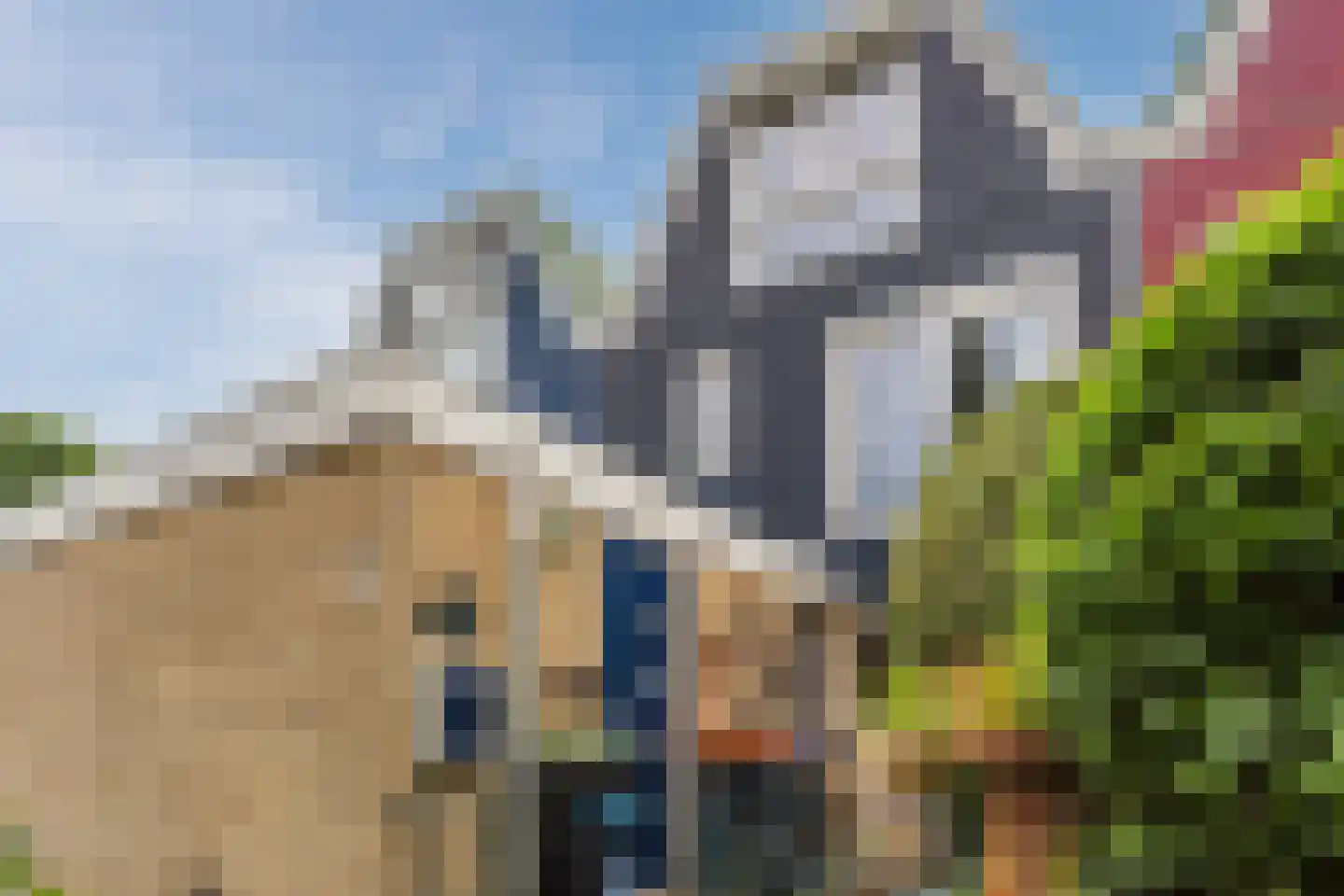 Archipel 13 41 Lelystad thumbnail 30