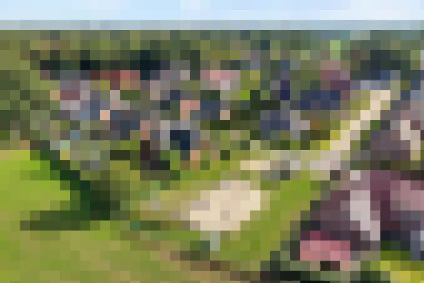 Archipel 14 14 Lelystad thumbnail 6