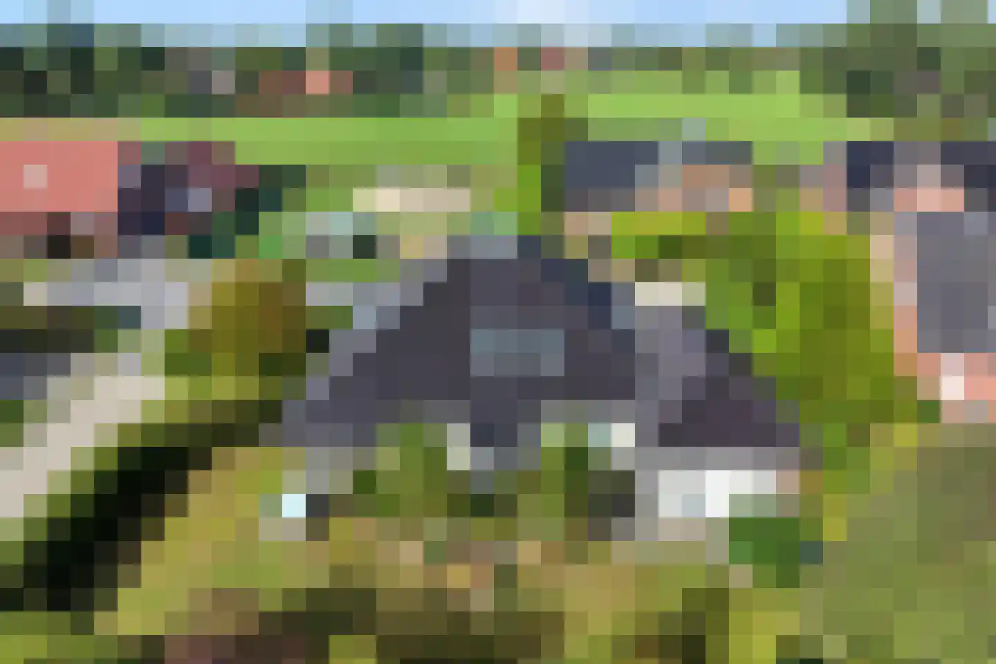 Archipel 14 14 Lelystad thumbnail 7