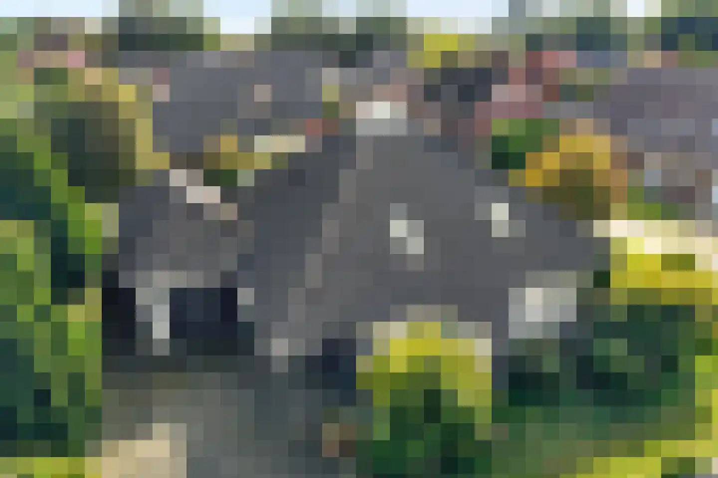 Archipel 14 14 Lelystad thumbnail 8