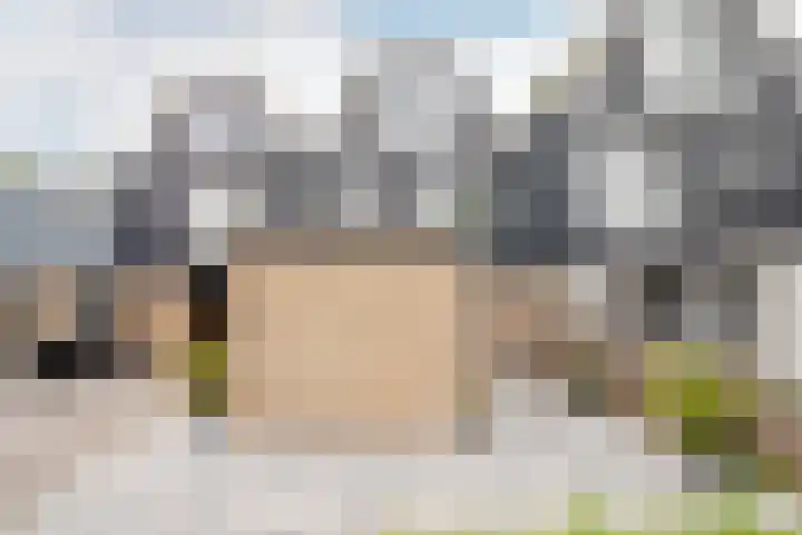 Archipel 16 16 22 Lelystad thumbnail 45